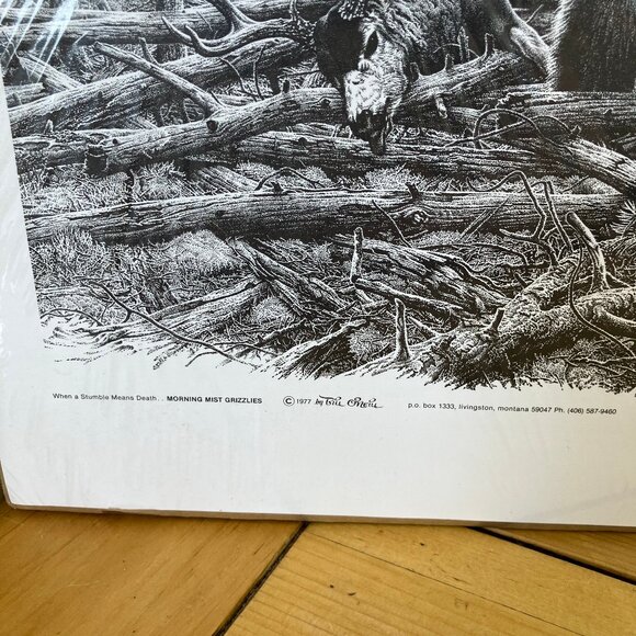 Morning Mist Grizzlies Art Print Bill O'Neill 1977 B&W Nature Bear Wildlife - Picture 2 of 4